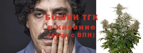 шишки Армянск