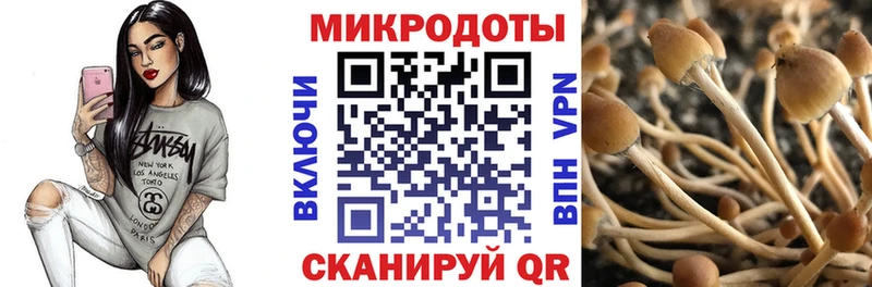 Галлюциногенные грибы GOLDEN TEACHER  цены   Вилюйск 